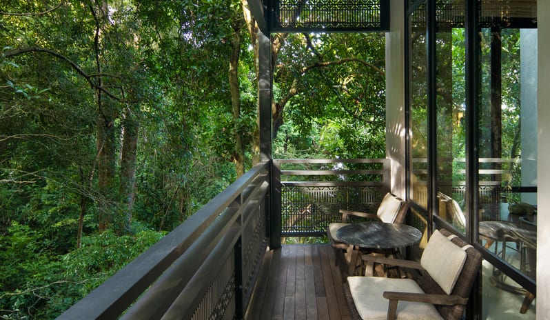 Rainforest  Deluxe View_001